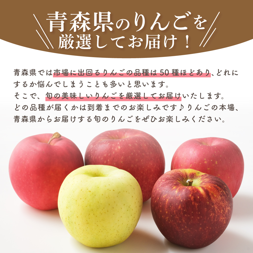 【2026年1月中旬発送】※12月末まで受付※ 【訳あり】 旬の美味しい りんご 約5kg 青森 産 【おまかせ1品種】