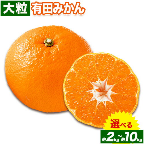 【ふるさと納税】迫力満点！大粒 有田みかん 2L〜4Lサイズ 選べる内容量 約 2kg 約 4kg 約 5kg 約 10kg 有田マルシェ《11月上旬-1月上旬頃出荷予定》 和歌山県 日高町 みかん 大粒 有田みかん 温州みかん 柑橘 フルーツ ミカン 蜜柑 送料無料