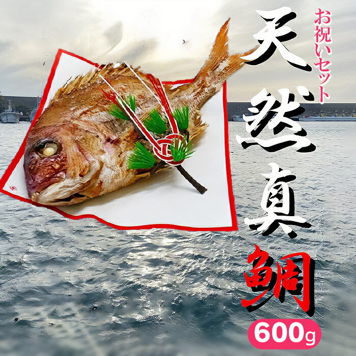 【ふるさと納税】ハレの日を華やかに　お祝いセット 鯛600g（約3〜4人前）　ハマグリのお吸い物・赤飯・コハダ甘酢漬け・黒豆煮