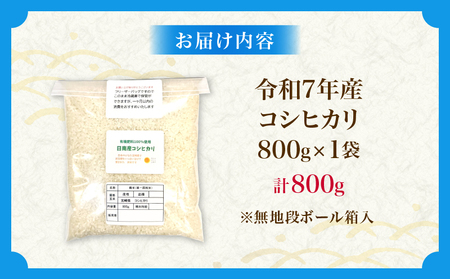 令和7年産 新米 コシヒカリ 計800g お米 ご飯 ライス 国産 数量限定 人気 食品 精米 白米 こしひかり 有洗米 おにぎり お弁当 炊き込みご飯 雑炊 ギフト プレゼント 贈り物 お取り寄せ 