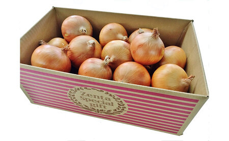 淡路島産玉ねぎ5kg 兵庫県 洲本市 淡路島