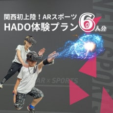 HADO体験会(60分) チケット 6人分　エコール・いずみ 大阪