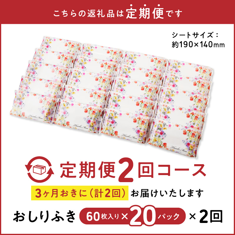 【２回定期便】おしりふき 20パック（60枚入り）厚手の凸凹シート使用！