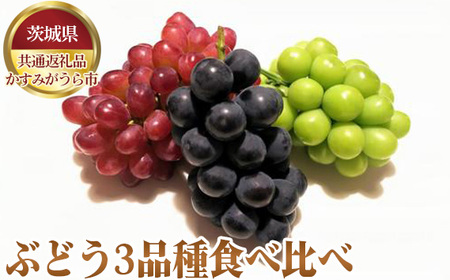 【先行予約】ぶどう3品種食べ比べ【茨城県共通返礼品 かすみがうら市】 No.639