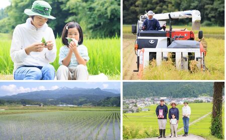 令和7年産【定期便】新之助 2kg×6ヶ月 計12kg 米・食味鑑定士お墨付き 家族みんなで愛情かけて育てた米 新潟県糸魚川産 2025年 しんのすけ 白米 百姓や伝六【米 お米 こめ 食品 人気 お