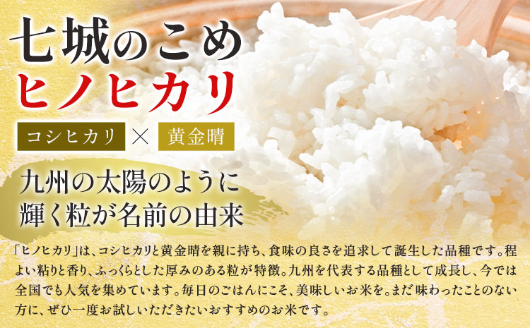 令和7年産 精米 七城のこめ 20kg《30日以内に出荷予定(土日祝除く)》熊本県 菊池市 米 白米 ヒノヒカリ でんすけ農場---309-4007---