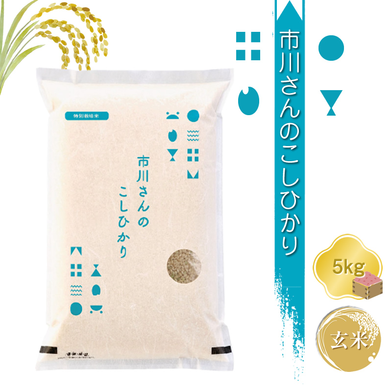 【令和7年産・玄米5kg】特別栽培米　市川さんのこしひかり （2025年11月出荷開始予定）先行予約 新米 信州【 米 コメ 備蓄品 仕送り おすそ分け 備蓄米 長野県 佐久市 】