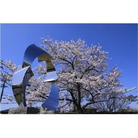 【返礼品なし】協働によるまちづくり推進に関する事業