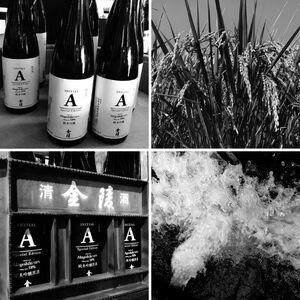 金陵 イニシャルA 白黒　720ml　2本【先行予約：令和8年10月頃より発送！】【A-146】