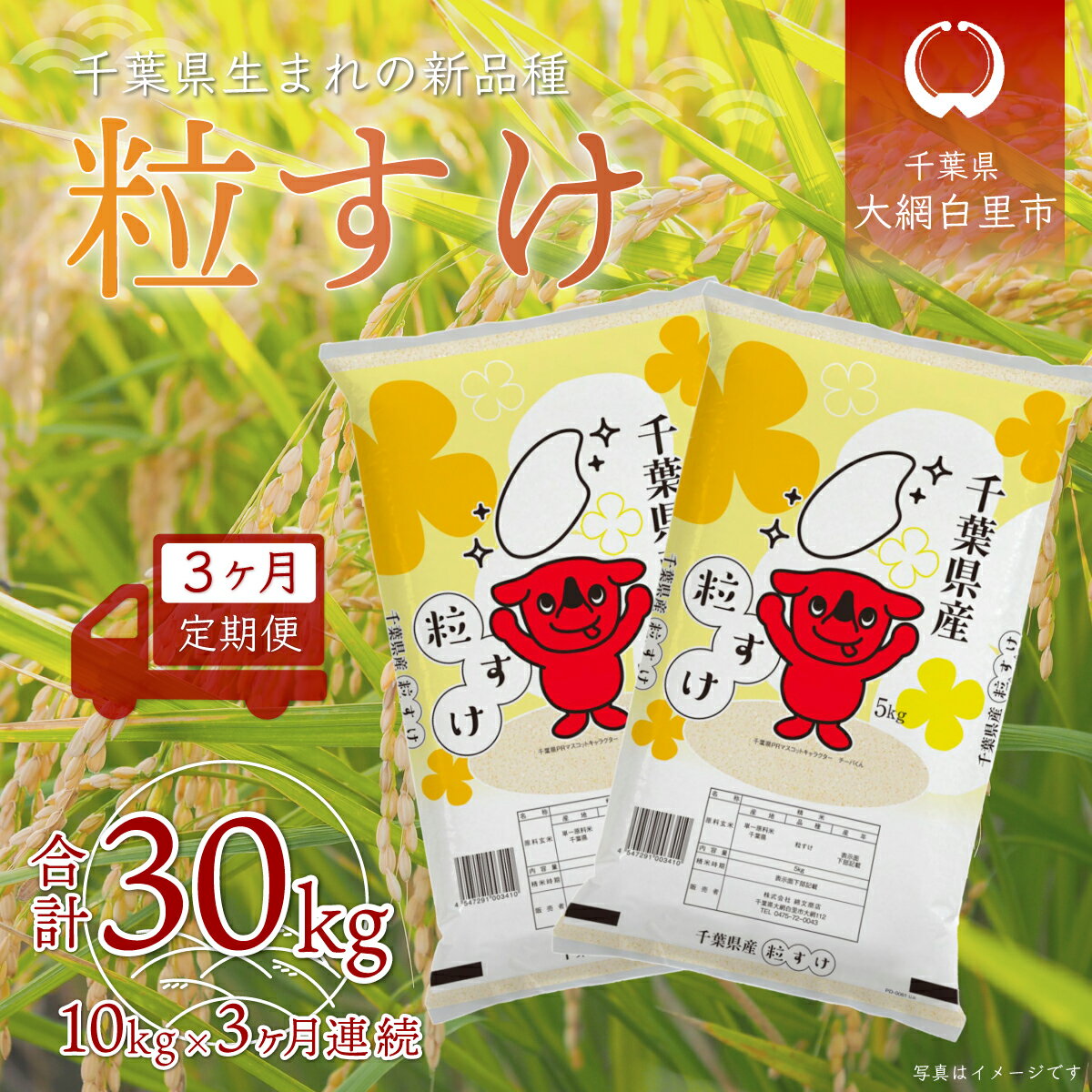 【ふるさと納税】【2025年10月より発送開始】＜3ヶ月定期便＞ 令和7年産 千葉県産「粒すけ」10kg×3ヶ月連続 計30kg ふるさと納税 米 定期便 10kg 3カ月 粒すけ 千葉県 大網白里市 送料無料 A031