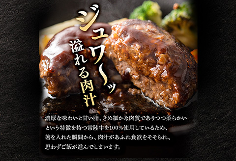 生ハンバーグ120g×6個 常陸牛 100％ 【3ヶ月連続お届け】 513