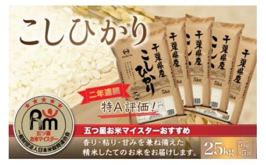 
										
										【新米】令和6年産 2年連続特A評価!千葉県産コシヒカリ25kg（5kg×5袋） ふるさと納税 米 25kg 千葉県産 大網白里 コシヒカリ 精米 こめ 送料無料 E007
									