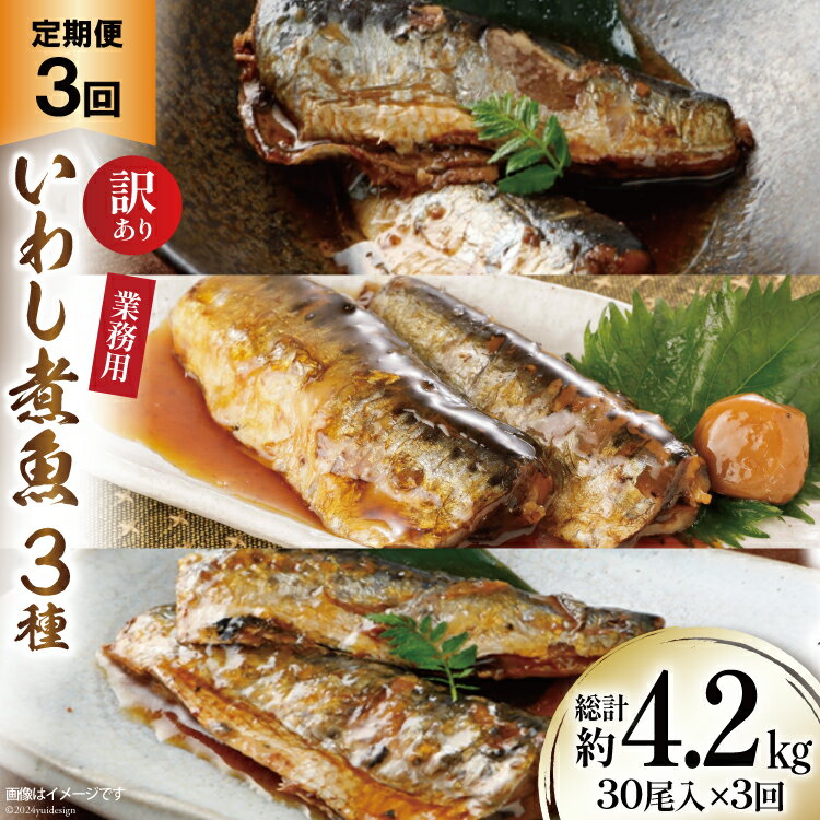 【ふるさと納税】定期便 《3ヶ月連続お届け》 訳あり 業務用 いわし煮魚 (3種×10尾 計30尾入 約1.4kg)×3回 総重量約4.2kg [カネダイ 宮城県 気仙沼市 20563280] いわし 生姜煮 梅肉煮 みぞれ煮