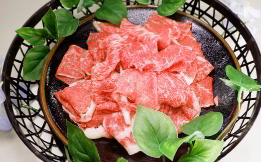 あか牛バラ切り落としセット（あか牛バラスライス500g あか牛のたれ200ml付き）