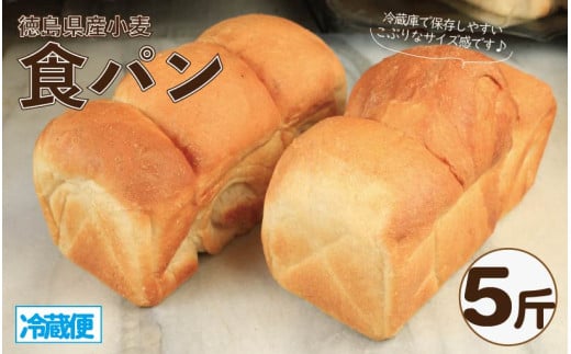食パン 5斤 パン 天然酵母 国産 小麦 卵 牛乳 朝食 昼食 ランチ 間食 おやつ お取り寄せ グルメ 冷蔵 送料無料 徳島県 阿波市 フィオーレデファリーナ