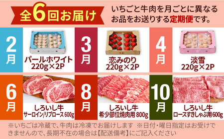 【R8年2月以降発送】【6回定期便】いちごと牛肉の贅沢定期便 / いちご 牛肉  [IZZ009]