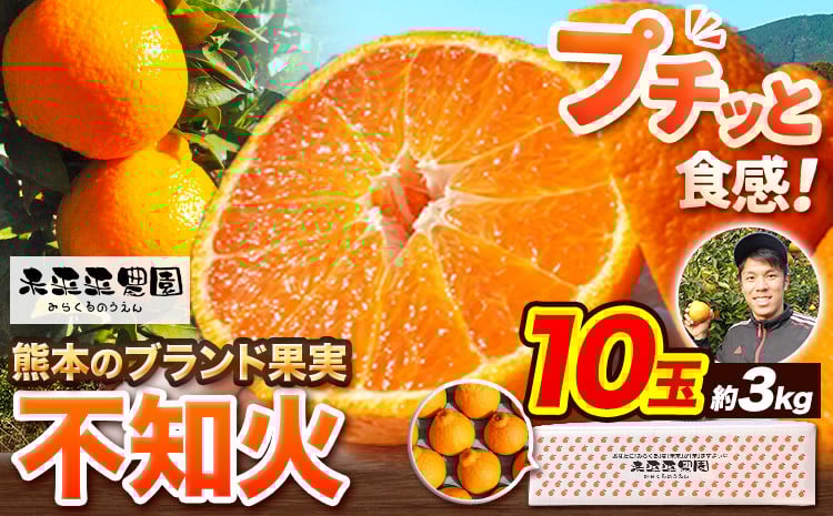
            不知火 贈答用 先行予約 熊本のブランド果実 不知火 10玉 約3kg 未来来農園 デコポン と同品種 でこぽん フルーツ 果物 みかん ミカン 柑橘 しらぬい 《2026年4月上旬-4月下旬頃出荷》熊本県 葦北郡 津奈木町 
          