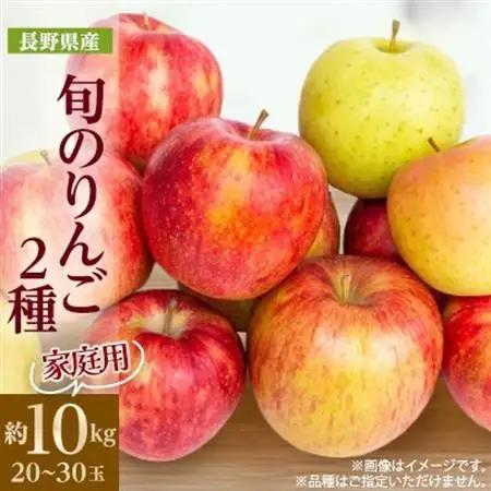 【2025年発送】家庭用　長野県北信州のりんご　約10kg(20～30玉)おまかせ2品種【1575400】