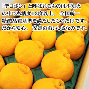 ［先行予約］［秀品］和歌山有田のデコポン！約2.5kg ［2027年1月下旬以降順次発送］［NGT15］