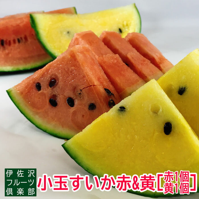 【ふるさと納税】【2025年7月～8月発送分先行受付】伊佐沢フルーツ倶楽部の小玉すいか2玉（赤＆黄）_H097(R7)