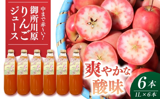 御所川原 りんごジュース (1Ｌ×6本) / ストレート果汁100% 果肉まで赤～いりんご「御所川原」使用 【 ごしょがわら リンゴジュース 果汁ジュース フルーツジュース 林檎 飲料 青森県 五所川原市 】