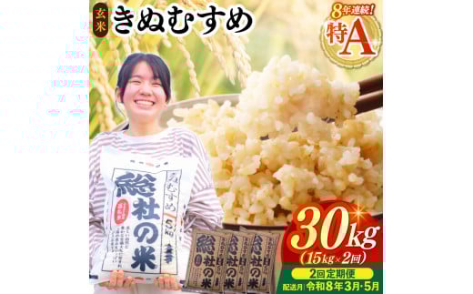 【令和7年産米】特Aきぬむすめ【玄米】30kg 定期便（15kg×2回）岡山県総社市〔令和8年3月・5月配送〕25-060-026