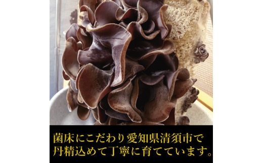 純国産　新鮮生きくらげ【1777873】