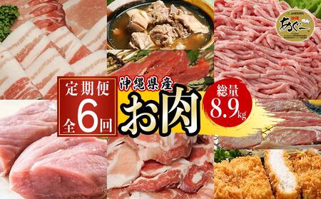 沖縄県産お肉の定期便（全6回）