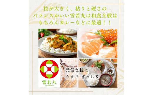 【1月発送】令和7年度 山形県産 雪若丸 5kg 白米 精米 ご飯 ごはん 国産 ブランド米 ゆきわかまる 食品 山形県 西川町 月山 FYN1-357