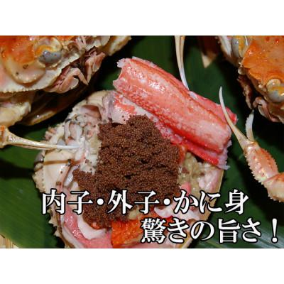 ふるさと納税 京丹後市 驚きの旨さ!茹でセコガニ 【訳あり】小サイズ5匹入(冷凍) |  | 01