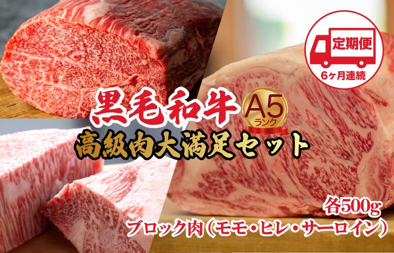 
            【定期便 全6回】黒毛和牛 A5ランク ブロック肉 食べ比べセット 1.5kg モモ・ヒレ・サーロイン 各500g 国産和牛 A5 牛肉 ブロック ステーキ 焼肉 ローストビーフ ヒレステーキ サーロインステーキ ふるさと納税 人気 高評価
          