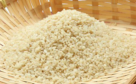 あきたこまち玄米5kg【配送不可地域：離島・沖縄県】【1595356】