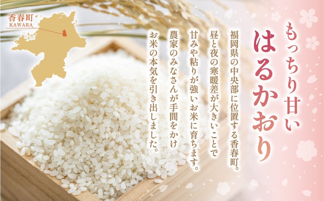 【1ヶ月毎3回定期便】はるかおり20kg