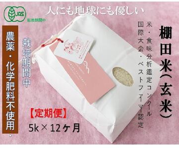 【2025年産新米】【定期便】魚沼コシヒカリ 苗場プリンセス・プレミアム 有機jaS認証米 玄米（5kg）×12回 合計60kg