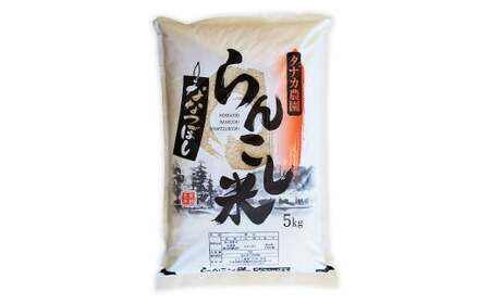 【5ヶ月定期便】 らんこし米 （ななつぼし） 5kg （タナカ農園）【2024年10月下旬より順次発送】 米 こめ コメ お米 白米 精米 ご飯 ごはん