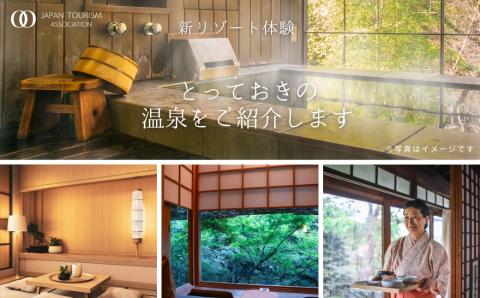 旅行ツアークーポン(300,000円分)【ゆっくり選べるWebカタログ】事前予約 ふるさと納税 新潟県 湯沢町 スキー リゾート ホテル 旅館 旅行券 宿泊券 宿泊 チケット 観光 国内旅行 レジャー