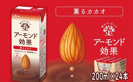 アーモンド効果 薫るカカオ 200ml×24本 アーモンド効果 アーモンド