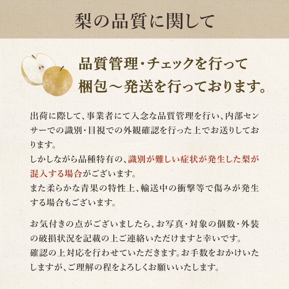 【2026年産先行予約】伊万里梨「王秋」 約5kg 178-B943