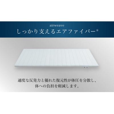 ふるさと納税 幸田町 エアウィーヴ ポータブル02  シングル