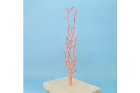 珊瑚職人館 珊瑚 原木・拝見・置物7