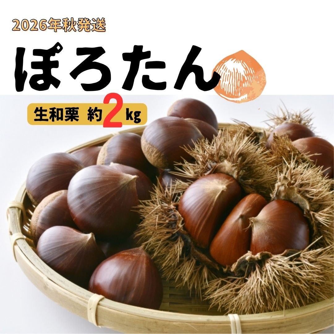 
                  生栗「ぽろたん」約2kg <2026年9月中旬発送> 長野県 信州 南信州 高森町 くり クリ 和栗 中平農園
                