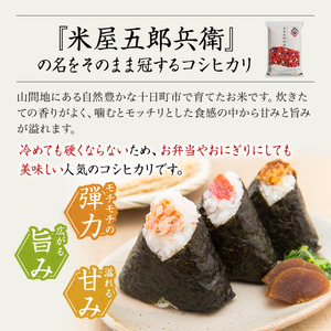 【新米予約　令和7年産米】魚沼コシヒカリ 米屋五郎兵衛5kg 選べる配送時期 お米 精米 こめ ご飯 白米  5kg令和8年3月下旬