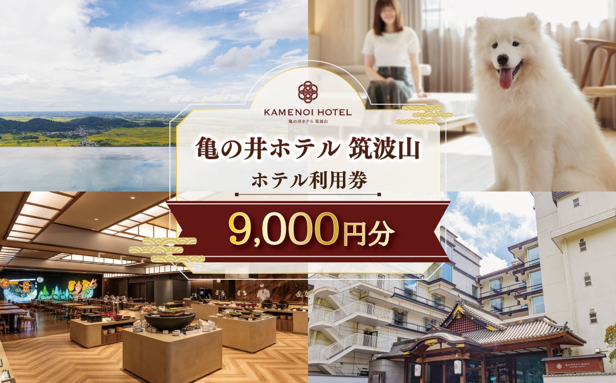 
                  亀の井ホテル 筑波山 ホテル利用券 9,000円 | 宿泊 宿泊券 宿泊利用券 宿泊補助券 宿泊チケット 旅行 旅行券 チケット 宿 ホテル 旅館 温泉 天然温泉 露天風呂 ペット 茨城県 つくば市
                