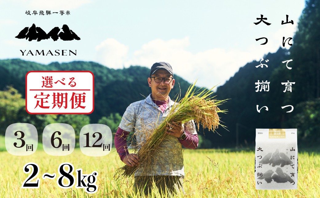 
                  【選べる回数・容量】新米先行予約【2026年産米】【定期便】2kg～8kg／3回・6回・12回 （2026年10月から毎月発送）山仙（いのちの壱）すがたらいす 下呂市金山産 令和8年産 毎月 2キロ×3カ月 お米 精米 下呂温泉 下呂市 米 ブランド米 定期
                