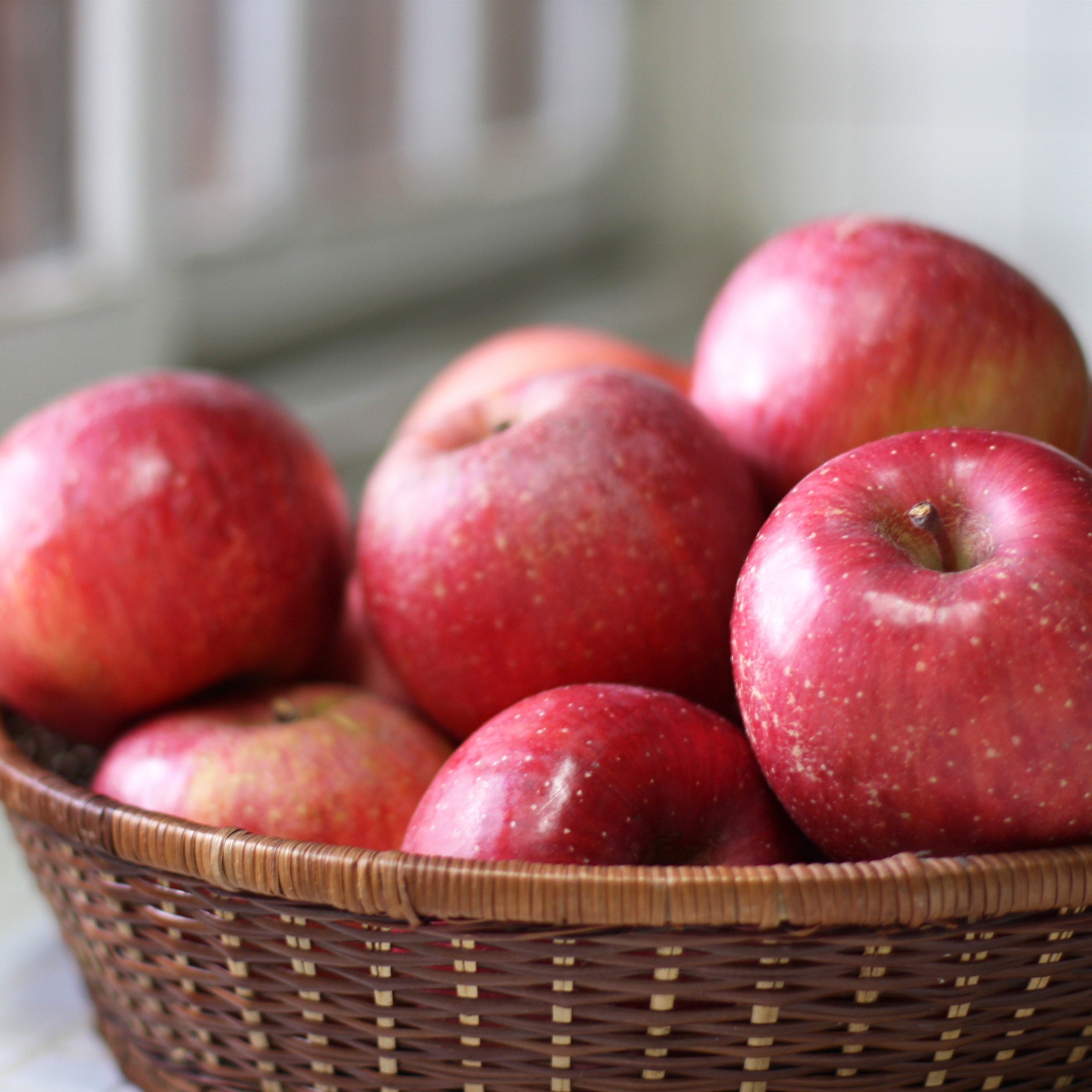 【2025年9月下旬発送】 【特選】 旬の美味しい りんご 約3kg 青森産 【おまかせ1品種】