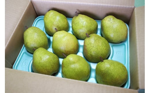【定期便：全２回】ラ・フランス　３ｋｇ　ご家庭用を２回お届け　0037-2514