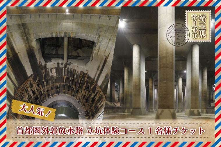 迫力満点！首都圏外郭放水路立坑体験コース1名様チケット（引換券）【埼玉県 春日部市 観光 アクティビティ 冒険 非日常 おでかけ 週末 一人 旅行 大人 レジャー】(BM002-1)