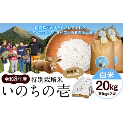 ふるさと納税 南阿蘇村 令和8年産 特別栽培米 いのちの壱 白米 20kg (10kg×2袋) 雑穀米付き