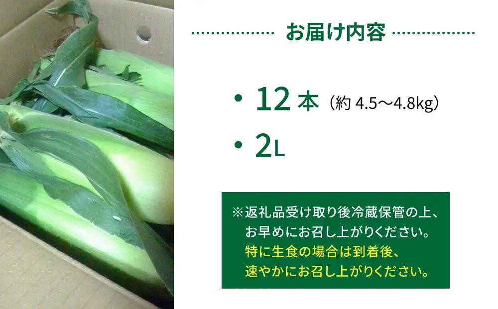 生とうもろこし 2Lサイズ 12本 有機肥料使用のスイートコーン！ 長野県東御市産 ※7月上旬から順次発送予定※発送日指定不可