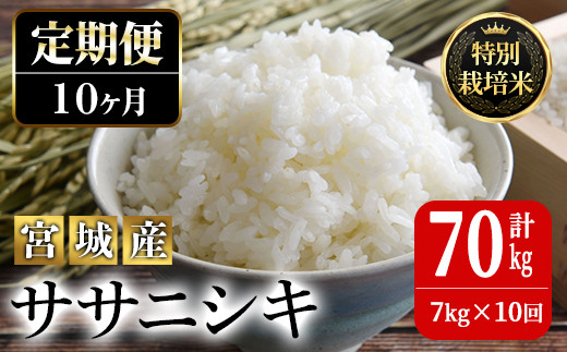 
＜10か月定期便＞特別栽培米 ササニシキ 7kg×10回 (全70kg) お米 おこめ 米 コメ 白米 ご飯 ごはん おにぎり お弁当 有機質肥料 頒布会【JA新みやぎ】ta227
